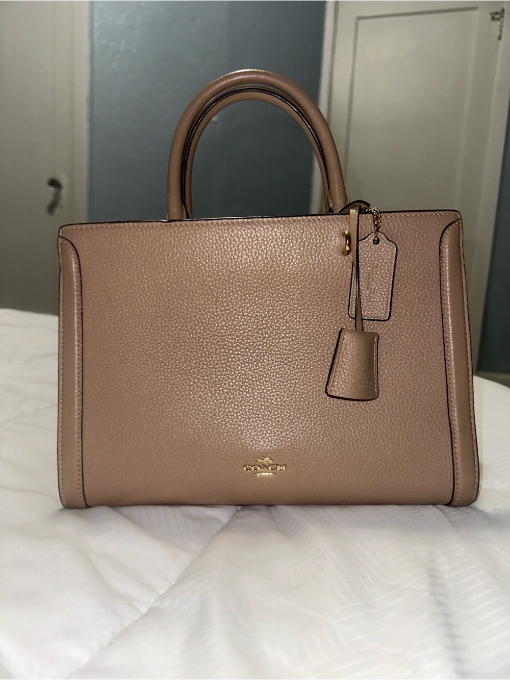 Coach Zoé carryall Purse